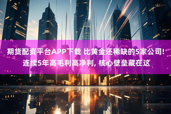 期货配资平台APP下载 比黄金还稀缺的5家公司! 连续5年高毛利高净利, 核心壁垒藏在这